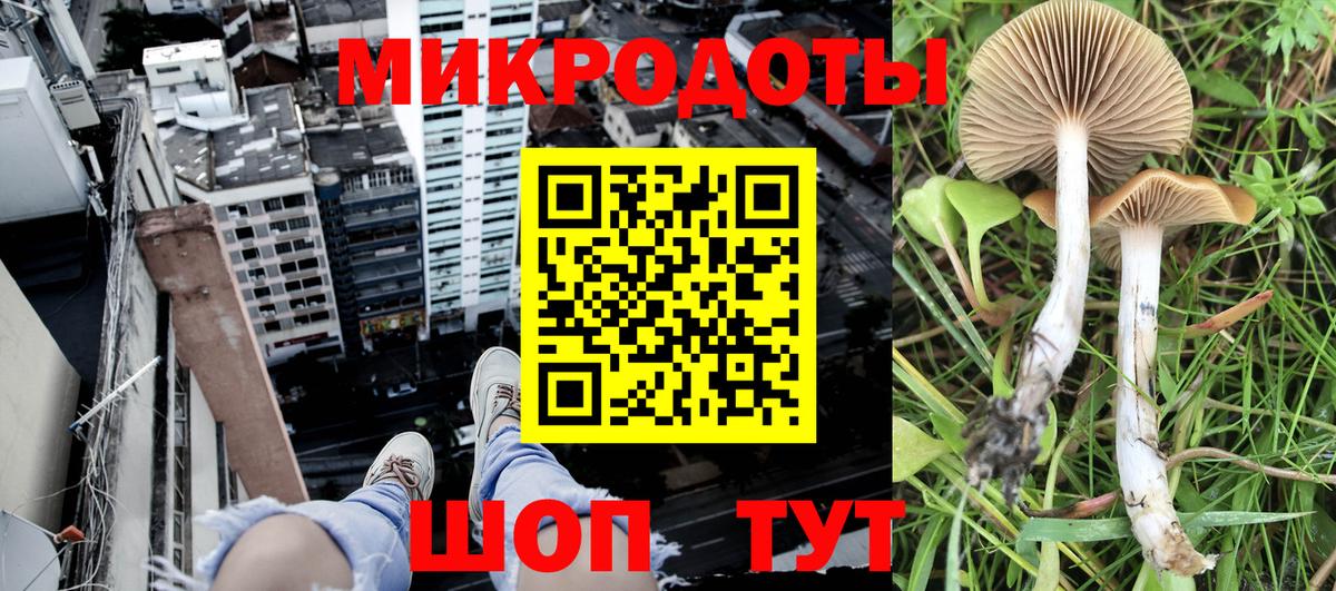 цены   Вход с VPN  Псилоцибиновые грибы мицелий  Таганрог  Псилоцибиновые грибы Psilocybine cubensis 